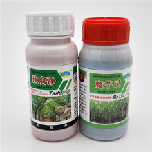 汰腐净魔芋灵魔芋防病药软腐病魔芋专用叶面肥魔芋专用 魔芋灵1瓶+汰腐净1瓶