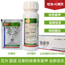 跳甲专用杀虫剂 强袭甲 啶虫·哒螨灵 抗性跳甲杀虫剂跳甲农药杀虫剂甘蓝蔬菜跳甲杀虫剂 强袭甲200ml