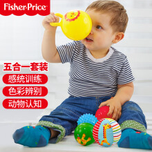 费雪(Fisher-Price)宝宝初级训练球五合一套装 婴幼儿童玩具球小皮球男女孩F0906六一儿童节礼物送宝宝