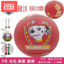 儿童篮球5号幼儿园专用3号拍拍球宝宝小皮球玩具球公主卡通 5 号 毛毛 送气筒