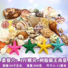 阿可喏斯天然贝壳海螺壳海星珊瑚石儿童玩具装饰鱼缸造景DIY卷贝鱼寄居蟹 贝壳套餐6