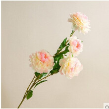 牡丹仿真花富贵牡丹月季玫瑰绢花假花干花落地装饰客厅摆放花 小5头香槟色