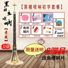 花梨木乌木唢呐乐器D调初学者成人全套民族吹奏乐器厂家直销 D调黄碗+8(初学使用)