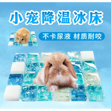 夏日降暑仓鼠龙猫松鼠天竺鼠散热板冰袋冰盒冰床降温用品仓鼠用品 冰垫(XL)适合兔子