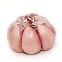 大蒜紫白皮干大蒜头批发粒大饱满 干蒜5斤【特级大个头】【强烈】