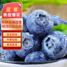 徐暖暖辽宁蓝莓精选大蓝莓丹东庄河新鲜果孕妇宝宝新鲜水果浆果女神节 净重115g*2盒（果径约12mm+）
