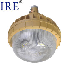 弗朗（IRE）BRE8685-Ex  防爆泛光灯  30W