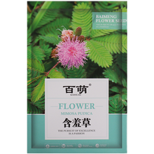 百萌（BAI MENG）含羞草种子四季易种可播阳台盆栽室内外草花卉植物 绿植花卉种子害羞草怕羞草种籽 含情含羞草种子（自控）  1克约150粒 厂商封装