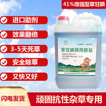 增强型41%草甘膦铵盐 果园苗圃荒地烂根型除草剂一扫光 农达 林中王41%草甘膦异丙胺盐4公斤*4桶/箱