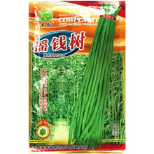 一播大地 豆角 豇豆 架豆种子蔬菜种子菜籽 阳台种菜 盆栽 高出芽率 种子 蔬菜 摇钱树豇豆原装