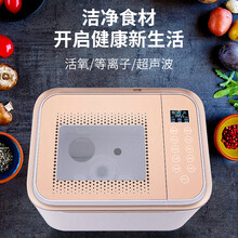 鑫万丰洗菜机家用果蔬消毒清洗机食材肉类超声波净化机全自动智能多功能杀菌去农残激素臭氧解毒机活氧发生器 12L 橘粉色臭氧款