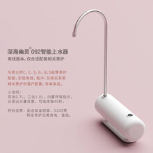 茶大师金刚掌 重竹黑檀实木电陶茶炉小泡茶迷你电磁炉铁壶玻璃茶壶煮茶器家电烧水泡茶 深海幽灵092智能抽水器