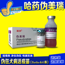 猪疫苗伪狂犬链球菌大肠杆菌传胸乙脑细小支原体圆环口蹄蓝耳 西蜀农大 哈药伪狂犬10头份1瓶价