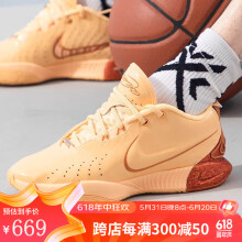 NIKE耐克男鞋新款LEBRON XXI EP詹姆斯21代实战运动篮球鞋FV2346-800 FV2346-800 40