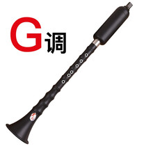 琴兹（Qin Ci）巴乌乐器竖吹成人专业演奏小学生初学入门大音量G/F调 单管乐器 G调+包+指法表+入门教学书