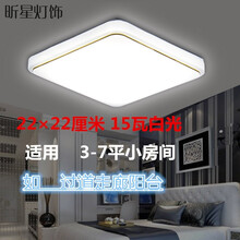 led吸顶灯卧室过道阳台灯厨房厕所卫生间防潮圆灯节能灯具楼梯走廊玄关灯酒店宾馆工程照明灯饰20 30 方金（银备注）21*21白光12瓦