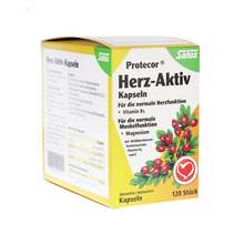 【JD物流】Salus Floradix莎露斯山楂蛋白酶片 促进心脏血液循环 降血脂降三高 活力素 120粒（1249109） 德国直邮原装进口