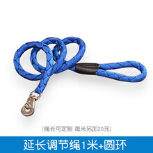 儿童秋千婴儿家用早教中心室内宝宝荡秋千吊椅健身体能运动感统训练器材 延长调节绳1米+圆环