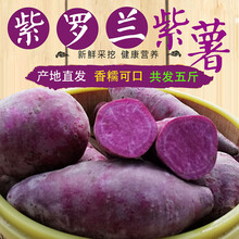 番薯小紫薯新鲜5斤迷你农家自种紫地瓜山芋香薯