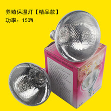 西芝 猪场养殖设备节能防爆加热灯泡猪用保温灯兽用取暖发热灯泡加热灯检测 精品马面灯泡150W