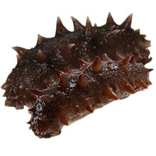 【上滨海参和鸿瀚堂 大连淡干海参辽参刺参海