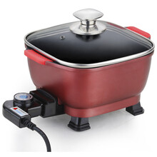 仙鹤 DL-2002多用途锅 家用电火锅  学生宿舍可用800W 仙鹤小火锅800W