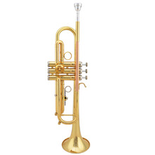 JAZZOR爵士朗降B调演奏型小号乐器2008型黄铜小号漆金