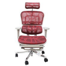 【【联友椅业】台湾Ergonor保友人体工学椅 电