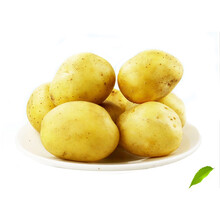 味小仙 高山黄皮土豆 黄心马铃薯洋芋新鲜蔬菜 4500g