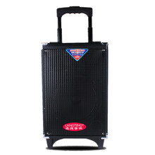 特美声（TEMEISHENG）浪庭户外拉杆音箱8寸广场舞音响锂电池移动音箱插卡木质音响 蓝牙版4节电 充电器 录音语音 送音频线