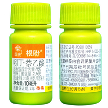 国光生根剂 根盼多肉生根液 插播生根剂芽根多 生根壮苗剂扦插 根盼100毫升