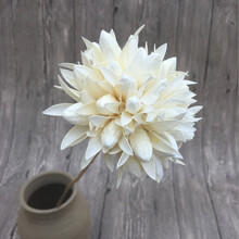 玉兰球天然干花拍摄道具客厅装饰永生花插花艺术 白色 干树枝