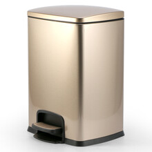 Snughome不锈钢垃圾桶长方形家用脚踏式带盖大号厨房卫生间客厅办公室厕所双层 20L香槟金（新款）