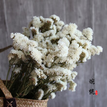 【勿忘我】云南天然勿忘我干花花束家居客厅真花摆设节日生日礼物 白色 干花包