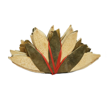 七爪化橘红 正宗化州橘红正毛果皮  散装 产地发货 赖李园 健康茶饮冲泡 1扎10片+1瓶橘红片