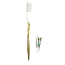 赞晨 酒店宾馆一次性牙刷牙膏套装 牙刷牙膏（树叶）100支