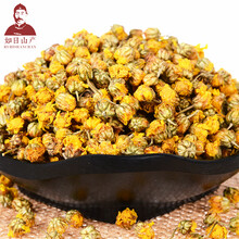 野菊花 野菊花茶 花草茶 野菊 500克