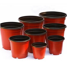 洁妍 特大号一次性盆栽双色塑料花盆 营养钵培育苗盆培育花盘 19厘米口径【10个】