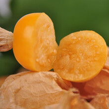 寿禾 东北姑娘果灯笼果种子 洋菇娘水果甜大黄姑娘 黄金莓盆栽蔬菜小番茄阳台盆栽种菜四季种籽种苗 水果菇娘种子 200粒简装