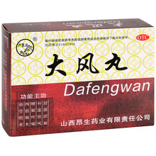 卢医山 大风丸 9g*8袋 1盒
