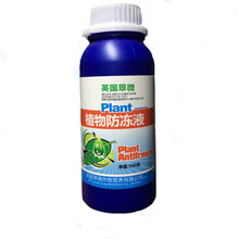 植物防寒抗冻剂 辣椒番茄防冻剂 抵抗寒流 解除冻害防冻液 英国翠微防冻液500ml/瓶