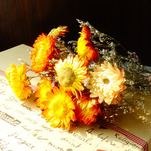 满天星云南干花束小向日葵太阳花雏菊花家居装饰插花朋友 五彩小束18枝 花瓣