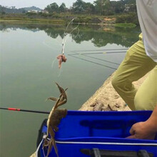 钓螃蟹钩抓螃蟹工具套圈钓大闸蟹赶海专用钩捉蟹青蟹渔具 螃蟹圈10个