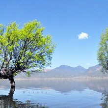 1中餐、 滑雪2小时 、往返车费 赠送人身意外险