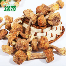 【暖民 狗肾泡酒料 狗鞭 狗肾鞭两根 泡酒料原料