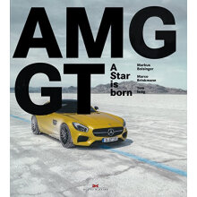 Mercedes-Amg Gt: A Star Is Born