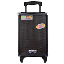 特美声A8户外8寸广场舞锂电池插卡拉杆便携大功率门店移动音响箱 官方标配