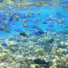 【 塞班岛5晚7日半自助游 西安出发,首尔转机,