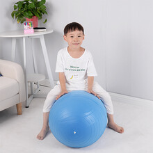 防爆健身按摩球瑜伽花生球感统训练器材儿童脑瘫训练器材中凹型球 蓝色