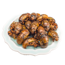 【西海岸新区馆】森珍绿业 新鲜知了猴 2020年金蝉 金蝉知了 500g 知了猴500g 袋装